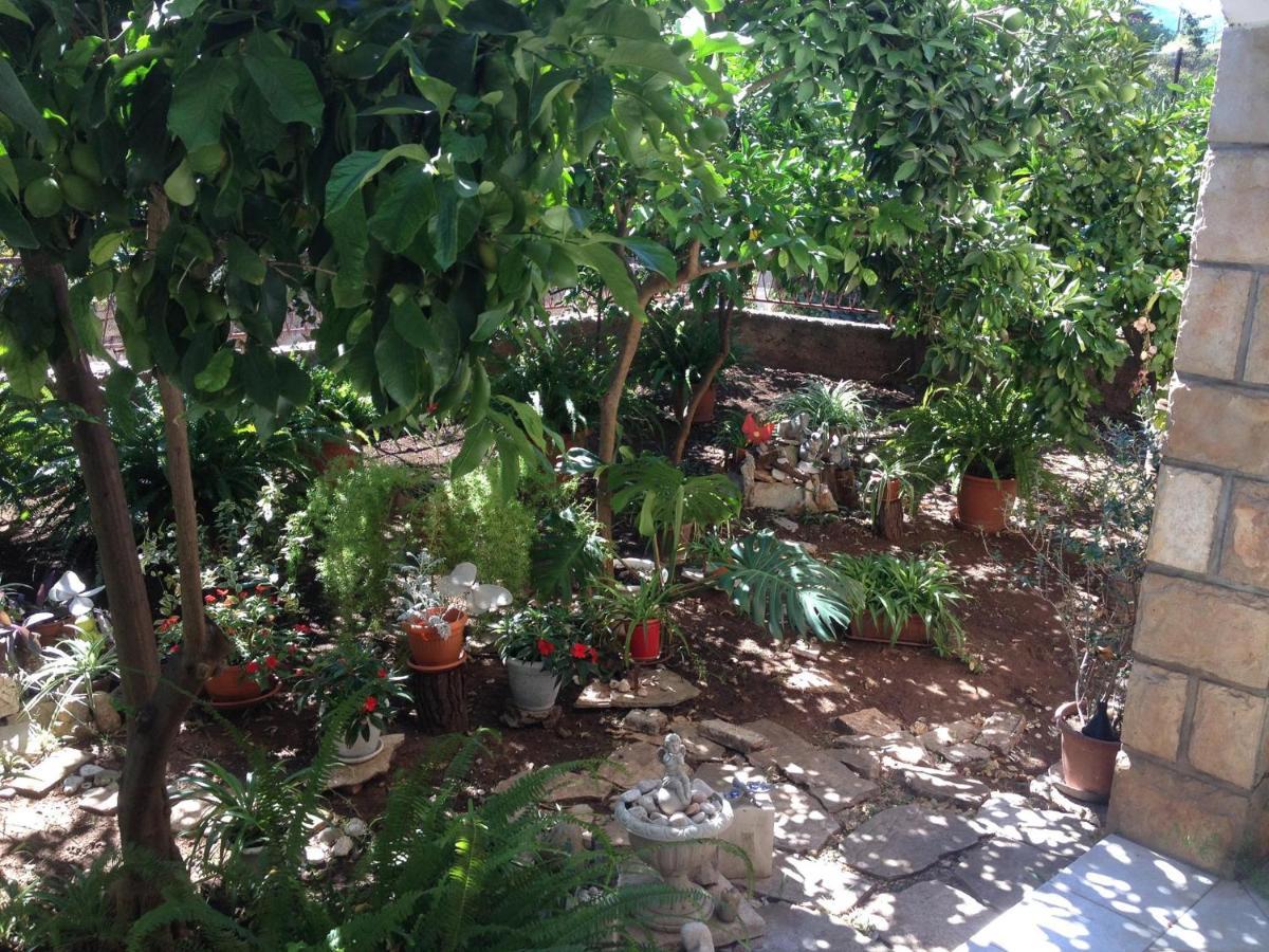 Villa Marga Jelsa  Luaran gambar